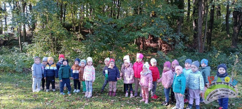 Cała grupa dzieci w wieku przedszkolnym (3-latki) stoją na trawie a w tle widać las.
