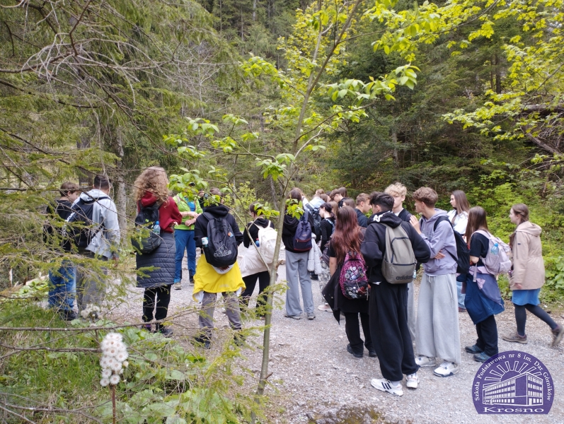Obrazek wyróźniający wpis Zakopane, Zakopane