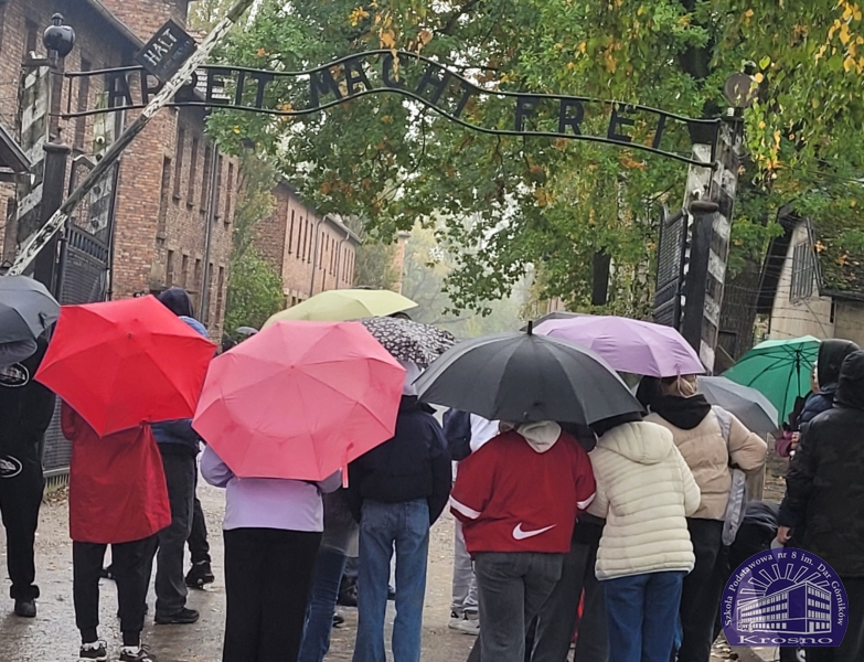 Obrazek wyróźniający wpis W Muzeum Pamięci Auschwitz-Birkenau