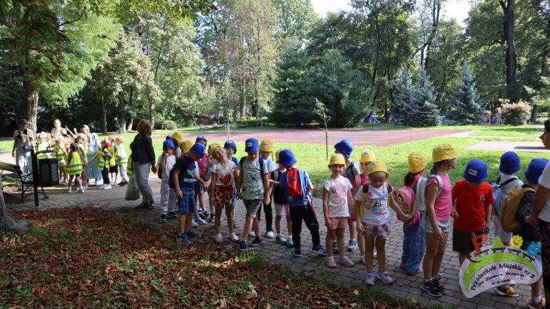 Ciuchcią po Krośnie