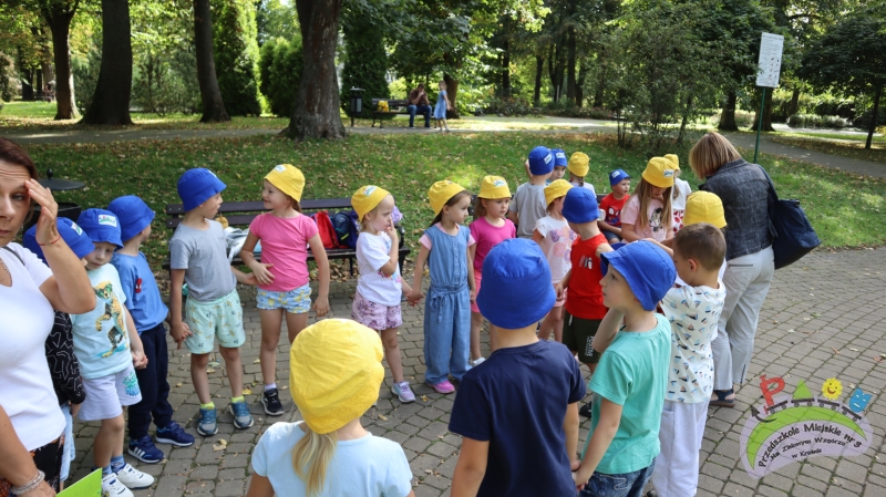 Ciuchcią po Krośnie