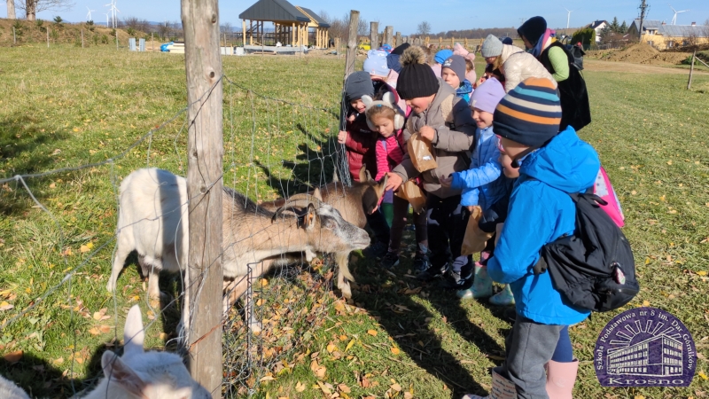 Dyniowa zabawa Żaczków