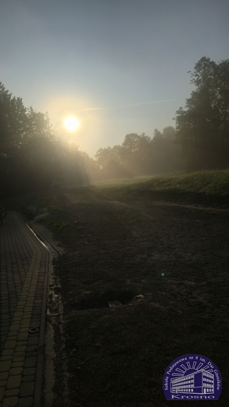 Klasa 6a w Puławach Górnych