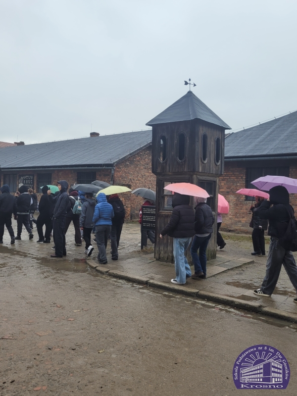 W Muzeum Pamięci Auschwitz-Birkenau