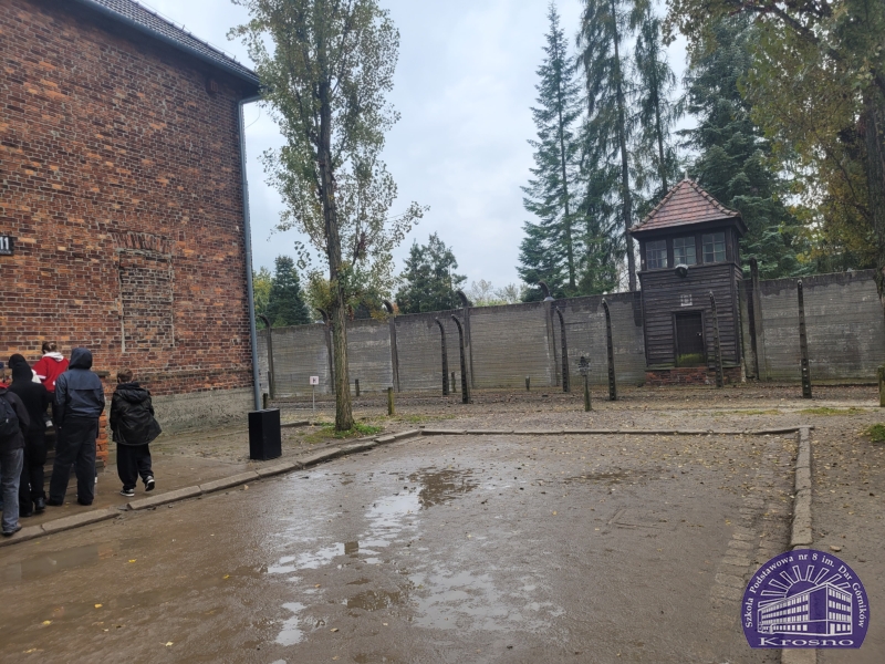 W Muzeum Pamięci Auschwitz-Birkenau
