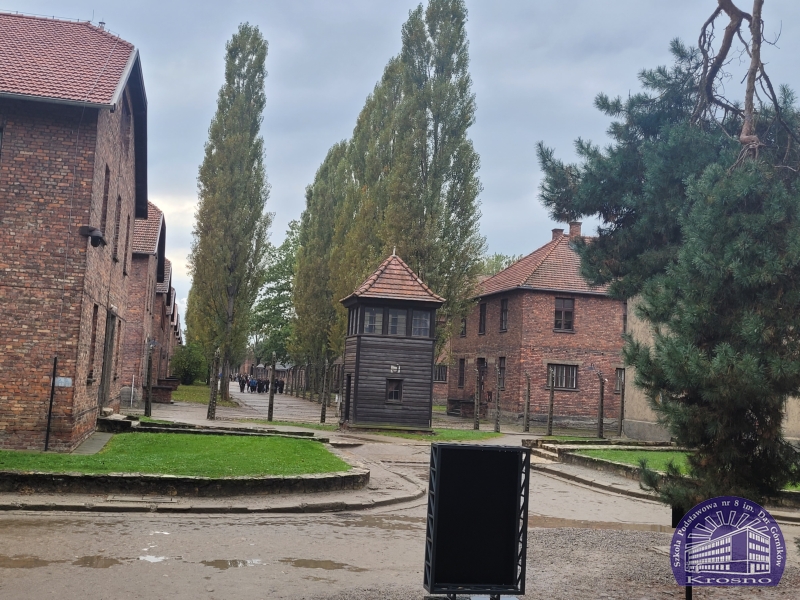W Muzeum Pamięci Auschwitz-Birkenau