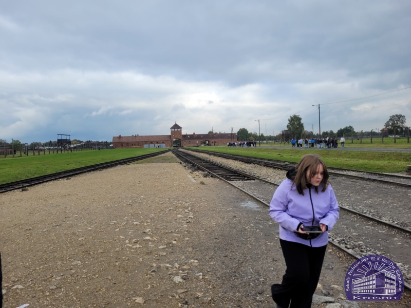 W Muzeum Pamięci Auschwitz-Birkenau