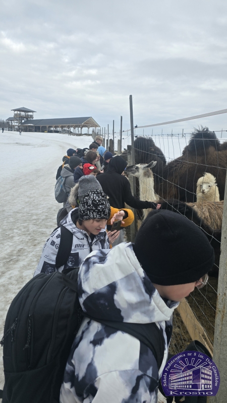 Zimowa przygoda klasy 7a w Pstrągowej