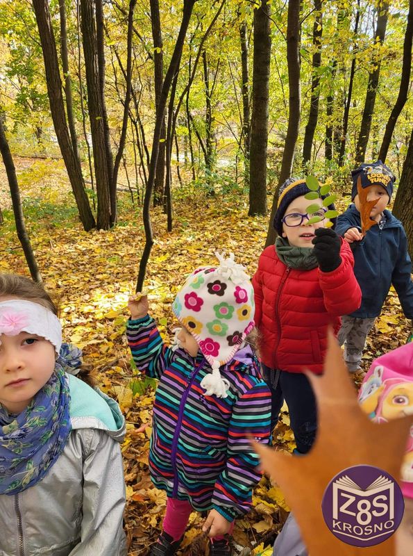 Przedszkolaki w lesie