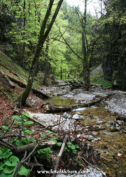 Park Narodowy Słowacki Raj